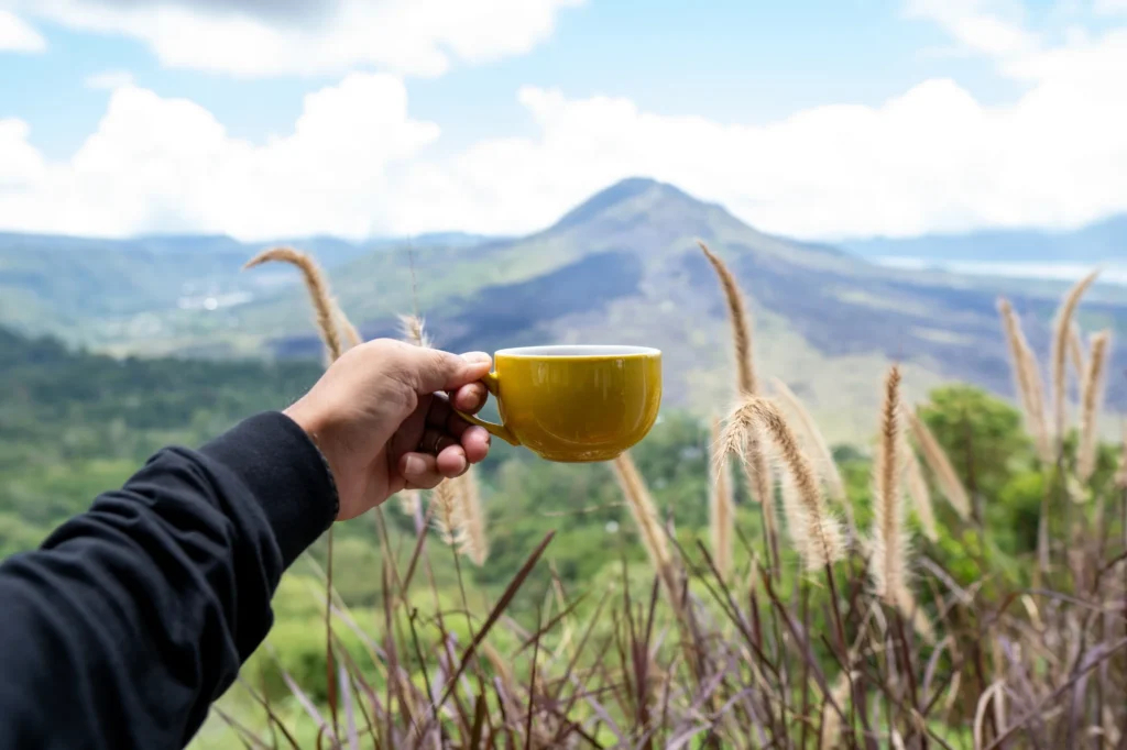 Person holding cup, Mountains