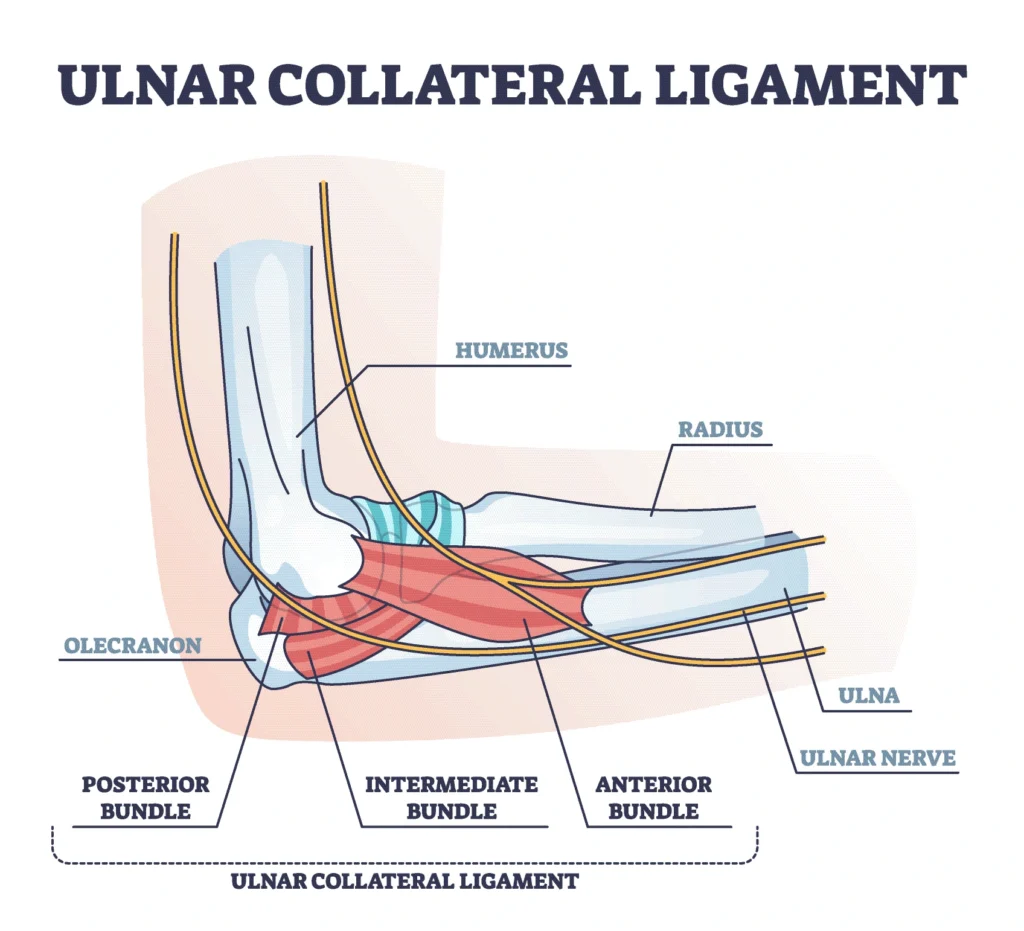 uclinjury